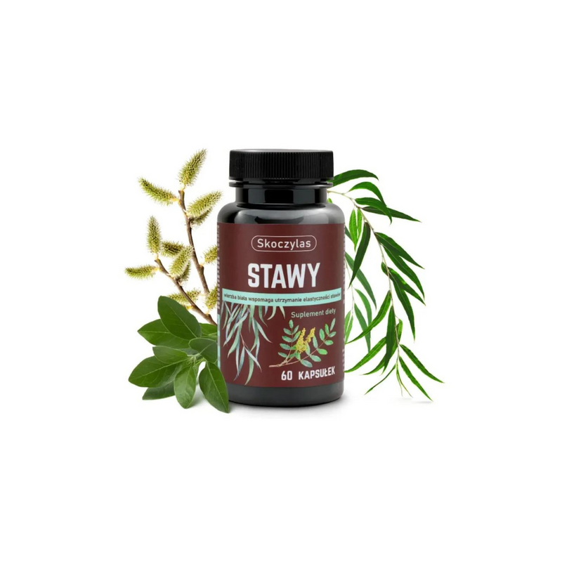 Skoczylas White willow helps maintain joint flexibility, 60 capsules