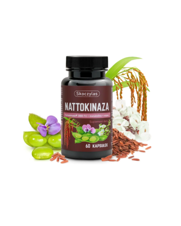 Skoczylas New NATTOKINAZA Fermokinase® 2000 FU + monacolin + rutin, 60 capsules