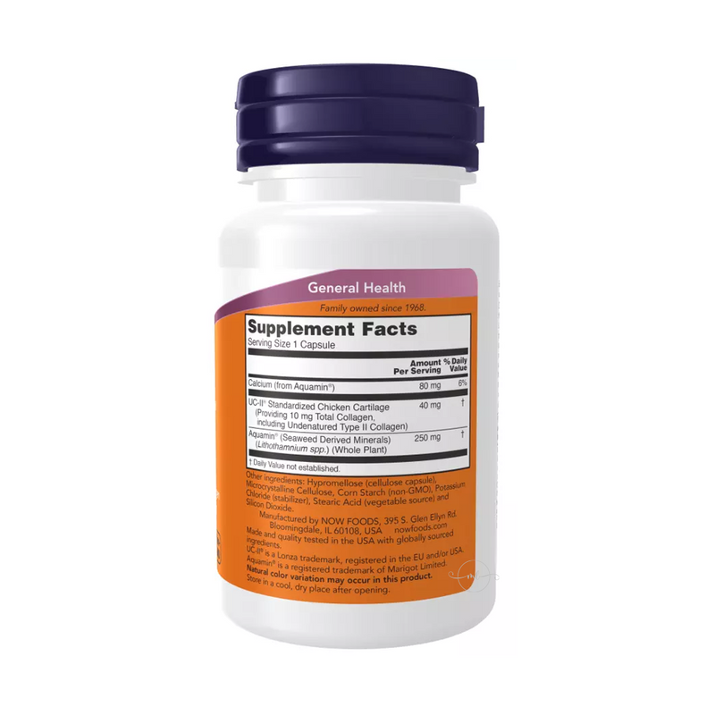Now Foods Type II collagen 90 vegetarian capsules