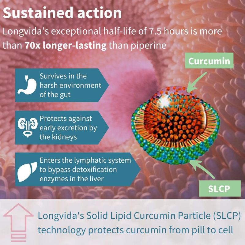 Igennus Longvida® Optimised Curcumin 500mg, 30 capsules