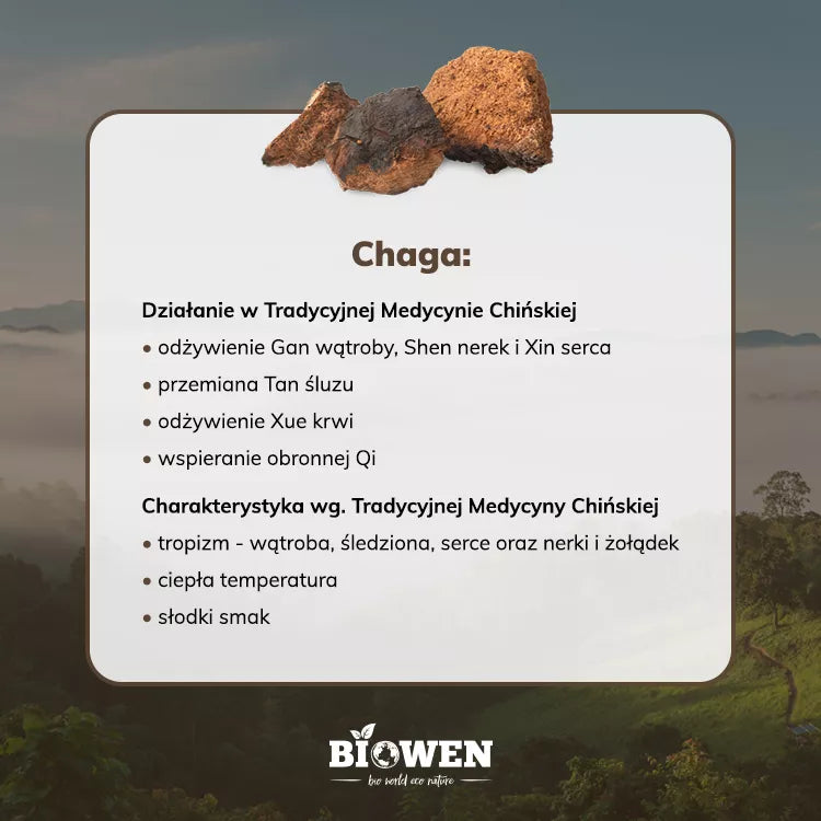 Biowen Chaga ekstrakt z grzybów 400 mg - 40% polisacharydy, 30% beta-glukany - kapsułki