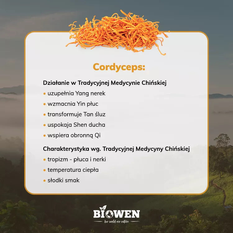 Biowen Cordyceps Sinensis Extract (CS-4) 400 mg 40% polysaccharides, 8% mannitol and 0.2% adenosine – capsules