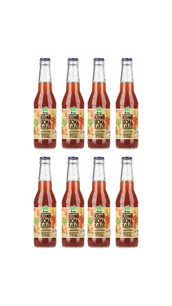 Copy of Bio Kombucha Karate SUGURI 330 ml, 8 bottles - 15% OFF