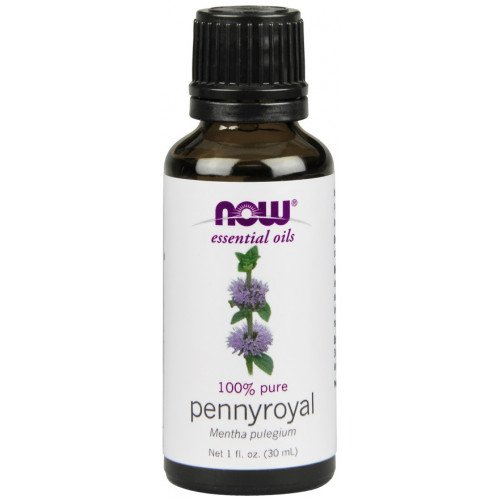 NOW Foods Essential Oil, Pennyroyal Oil  - 30 ml.