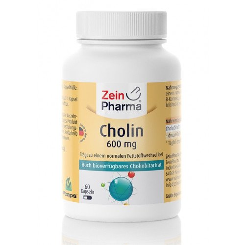 Zein Pharma Choline, 600mg  - 60 caps