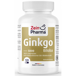 Zein Pharma Ginkgo Biloba 5000, 100mg  - 120 caps