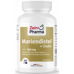 Zein Pharma Milk Thistle + Choline, Liver Complex  - 100 caps